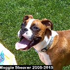 Maggie Shearer 2008-2015